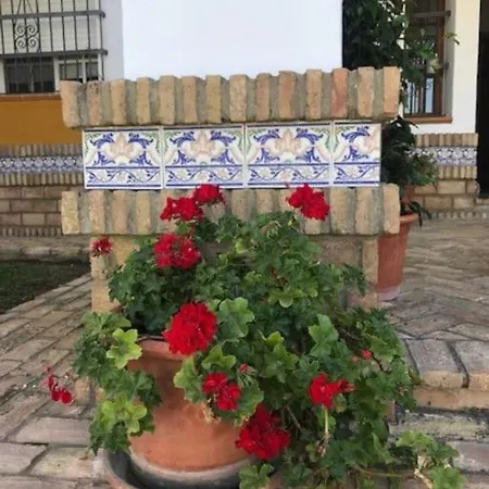 El Magnolio *